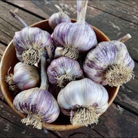 purple garlic in a bowl on a wooden table